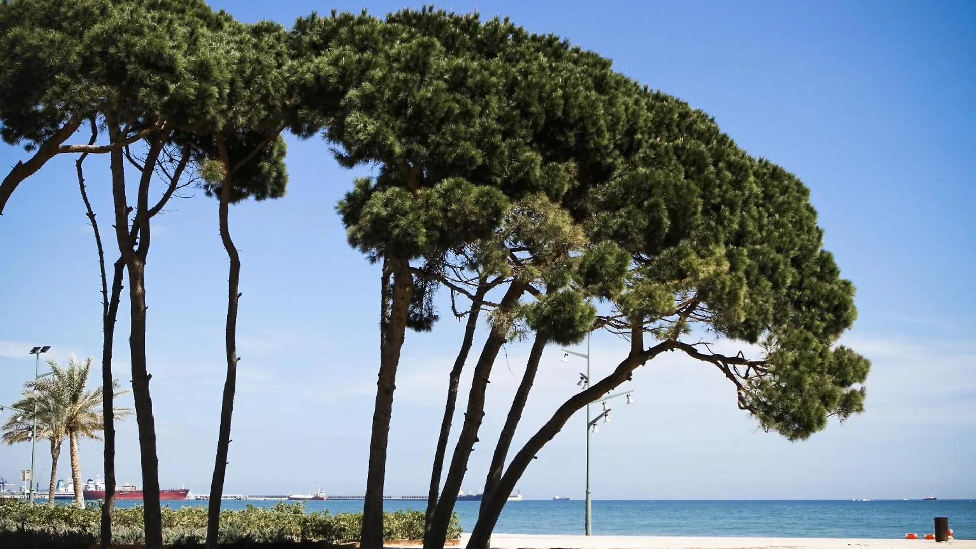 Apartamento Tecavi II Atic La Pineda